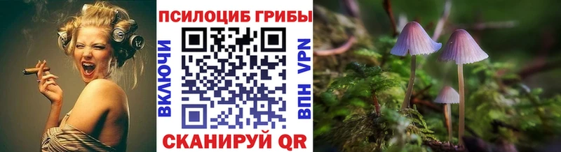 darknet официальный сайт  Болотное  Галлюциногенные грибы GOLDEN TEACHER 
